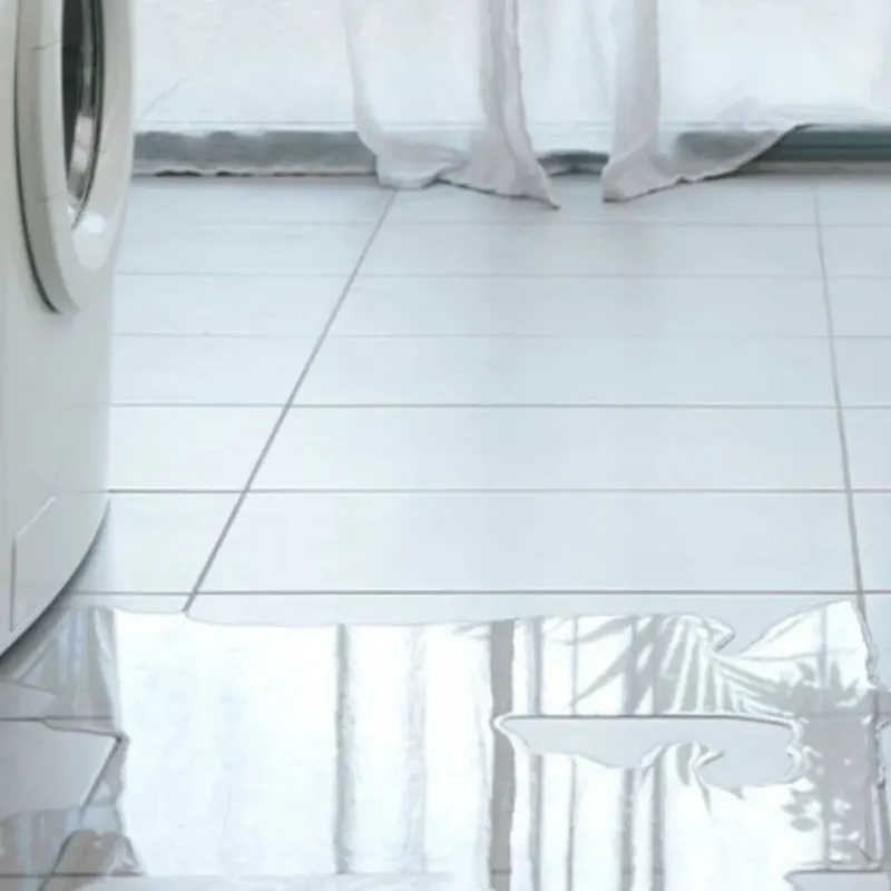 Appliance Leak Cleanup in Coleman, MI